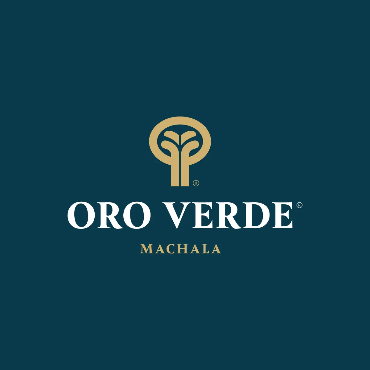 Hotel Oro Verde Machala