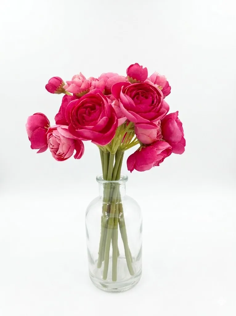 ROSA FUCSIA