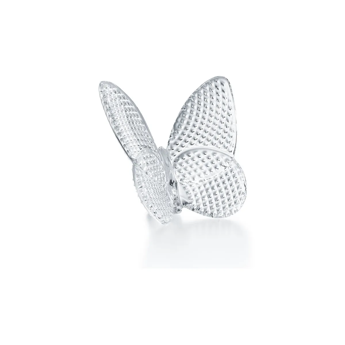 Papillon lucky diamond