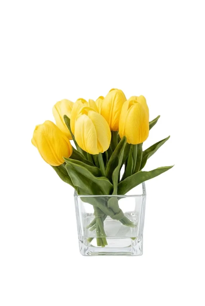 TULIPANES AMARILLA