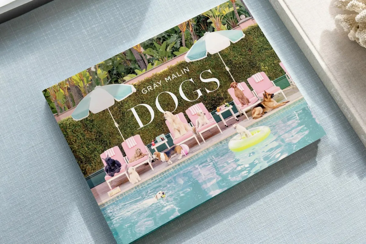 GRAY MALIN DOGS
