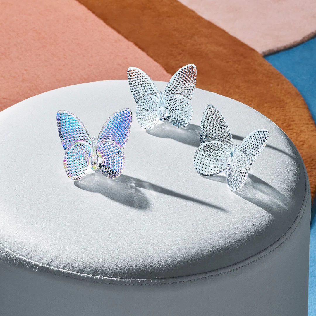 Papillon lucky diamond